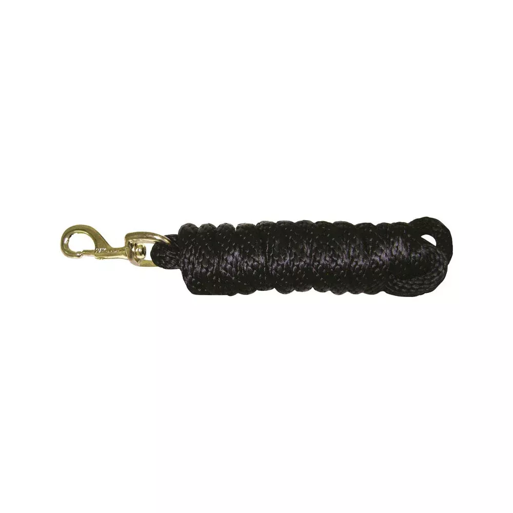 Hamilton Poly Lead with Bolt Snap, 10 ft, Black