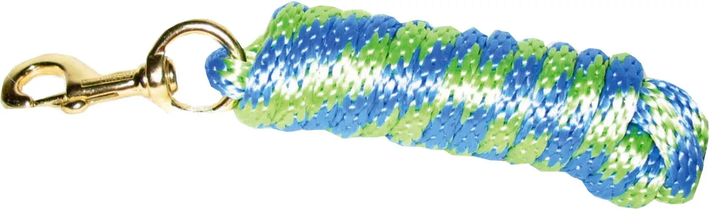 Hamilton Poly Lead with Bolt Snap Berry/Lime 10 ft