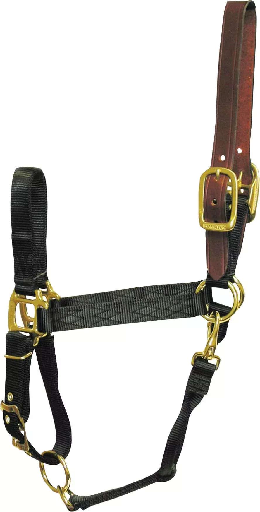 Hamilton Yearling Halter with Leather Crown