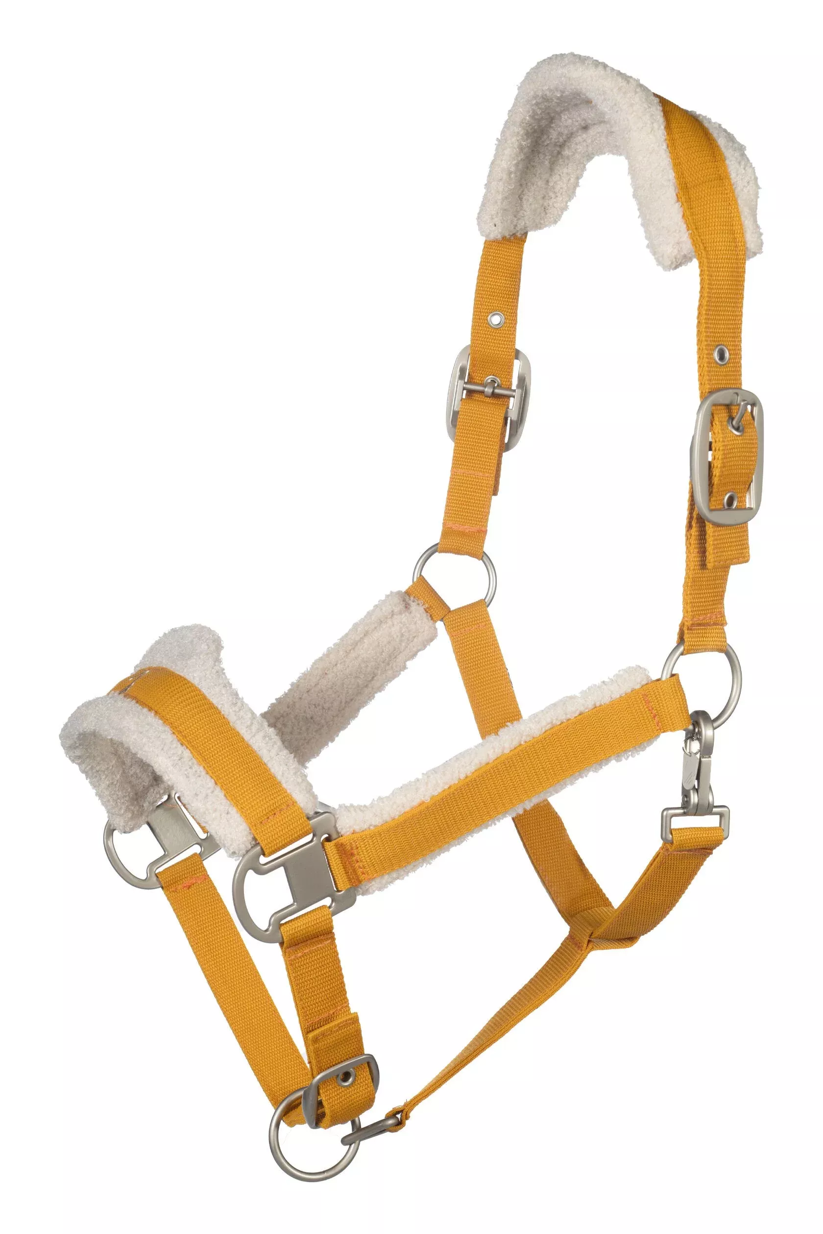 Head Collar Arezzo