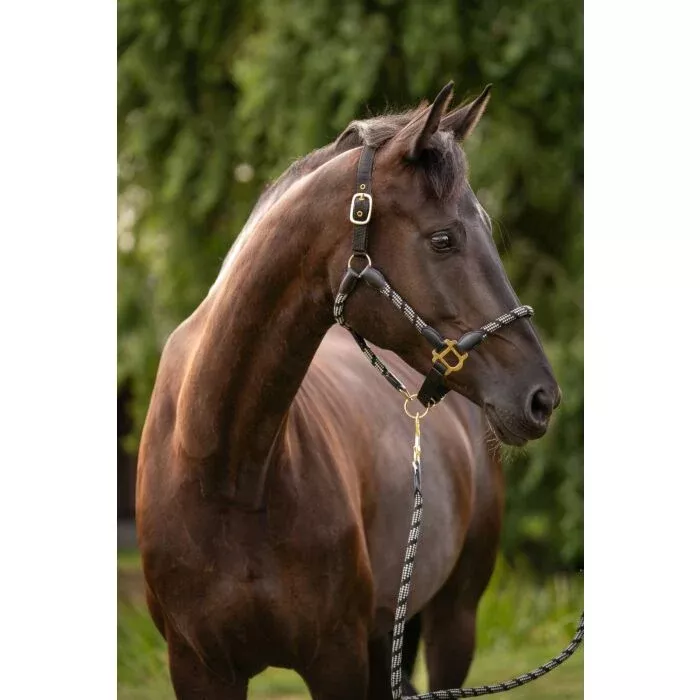 Head Collar Sportive Limone