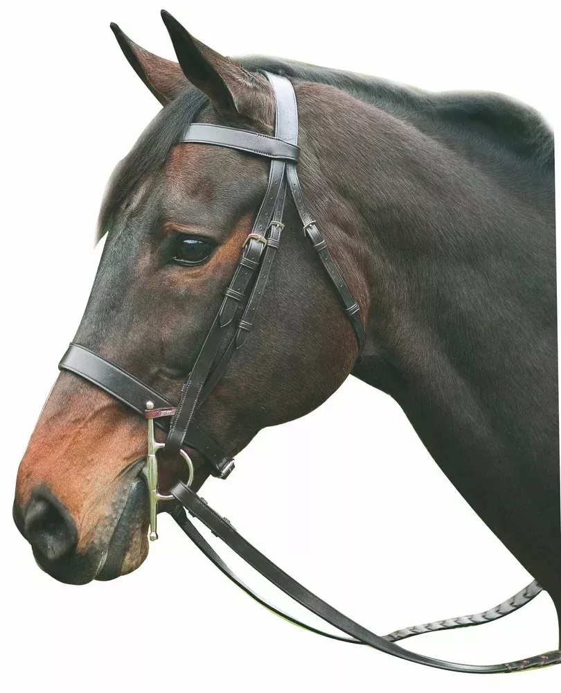 Henri de Rivel Collection Hunt Bridle