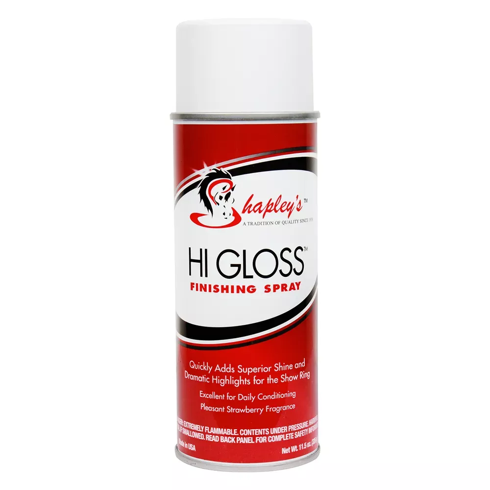 Hi Gloss Finishing Spray