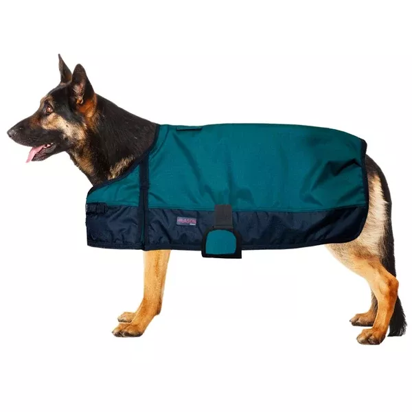 Hilason 200 gsm 1200D Winter Turnout Waterproof Dog Blanket