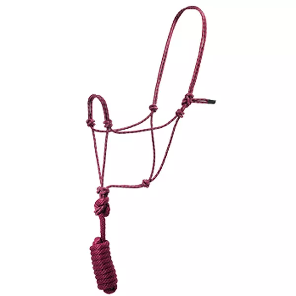 Hilason Basic Two-Toned Poly Rope Halter with 8' Lead – Durable, Lightweight & Hardware-Free