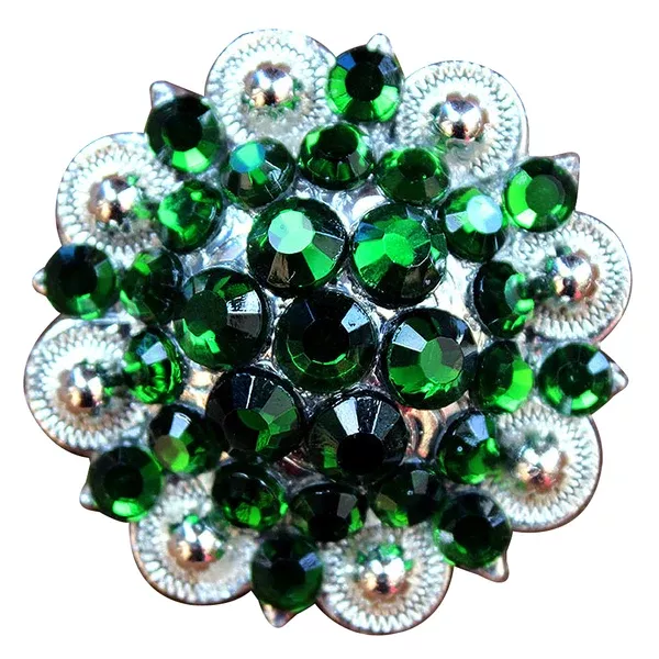 HILASON Green Crystals Berry Headstall Saddle