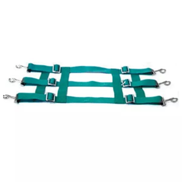 Hilason Horse Stall Guard Adjustable Straps Hardware Included Green