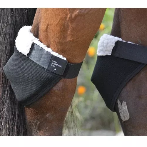 Hock Shields