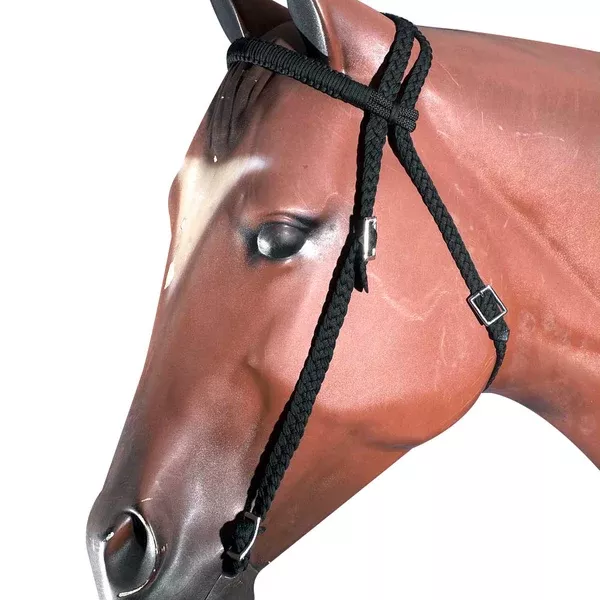Horse Bridle Headstall Flat Braided Paracord By Hilason
