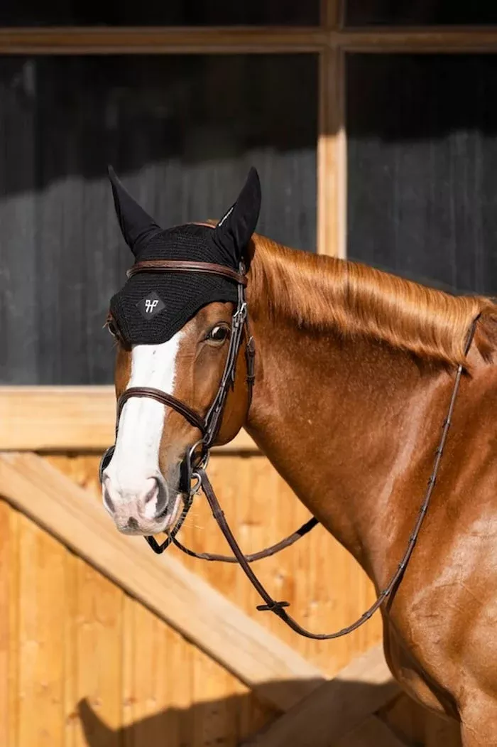 Horse Ear Bonnet