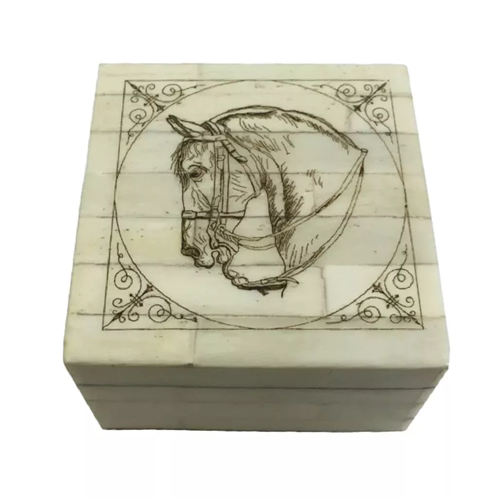 Horse Head Scrimshaw Bone Box