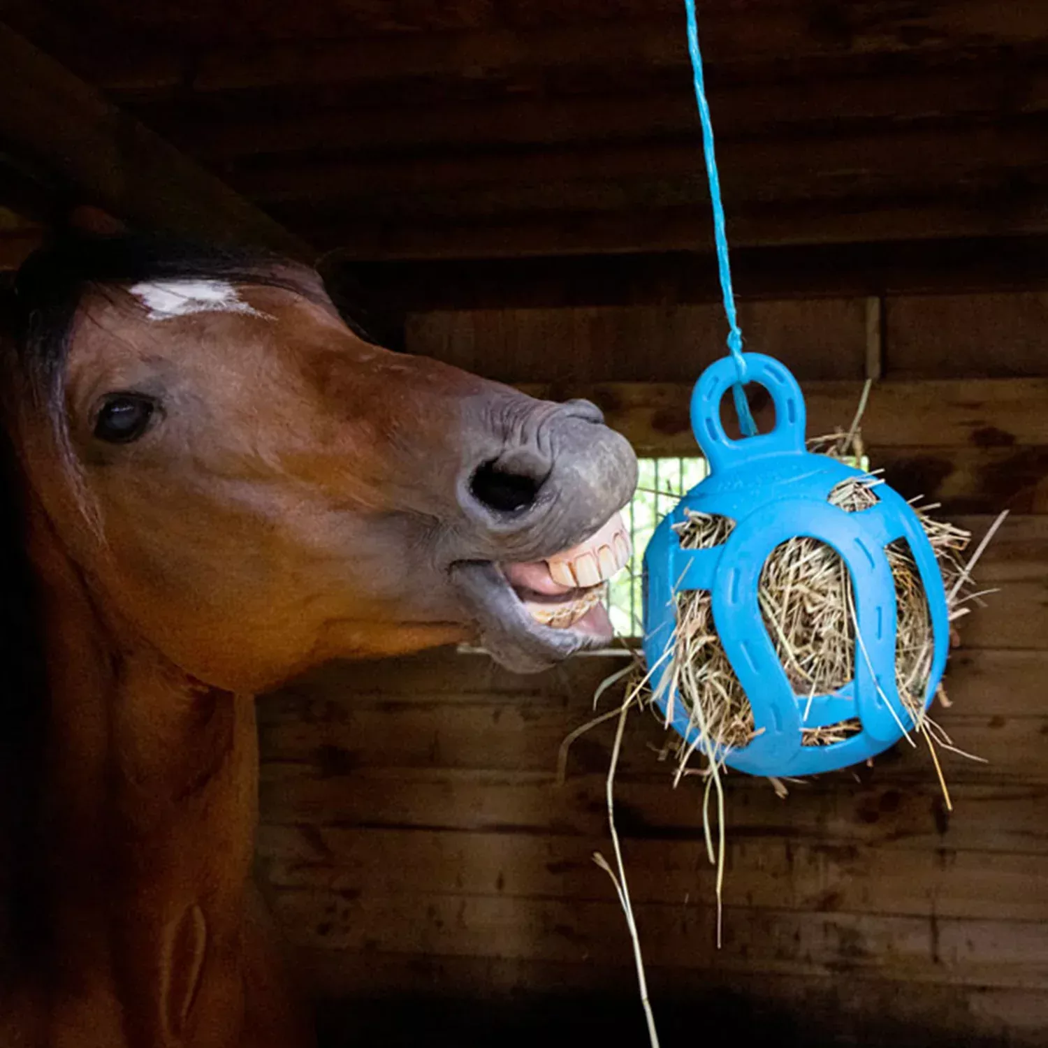 Horseman's Pride Jolly Hay Ball