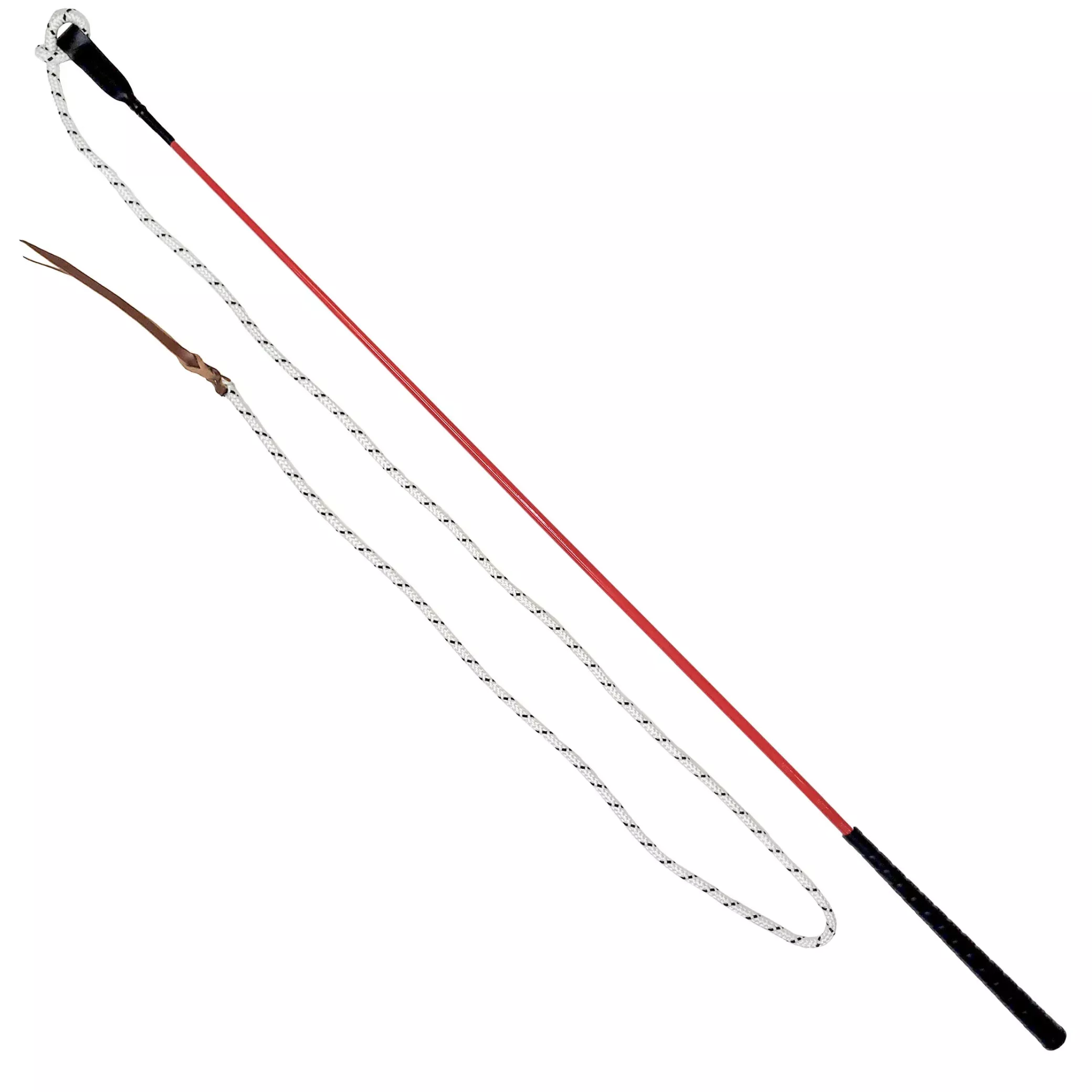 Horsemanship Training Stick