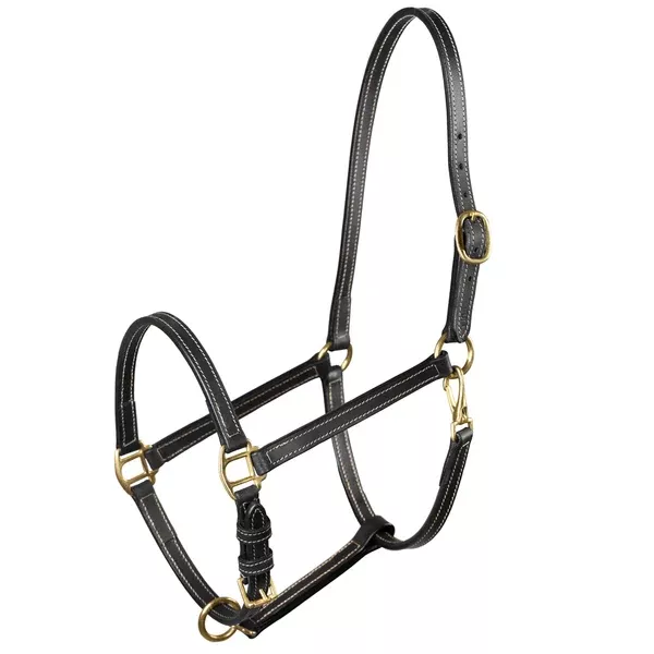 Horze Fremont Leather Horse Halter Black