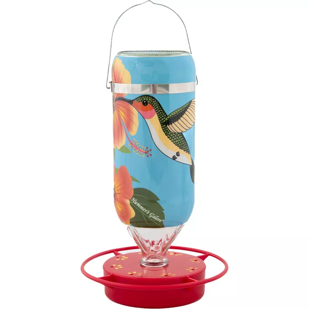 Hummers Galore Hibiscus Hummingbird Feeder – 16 oz, Blue