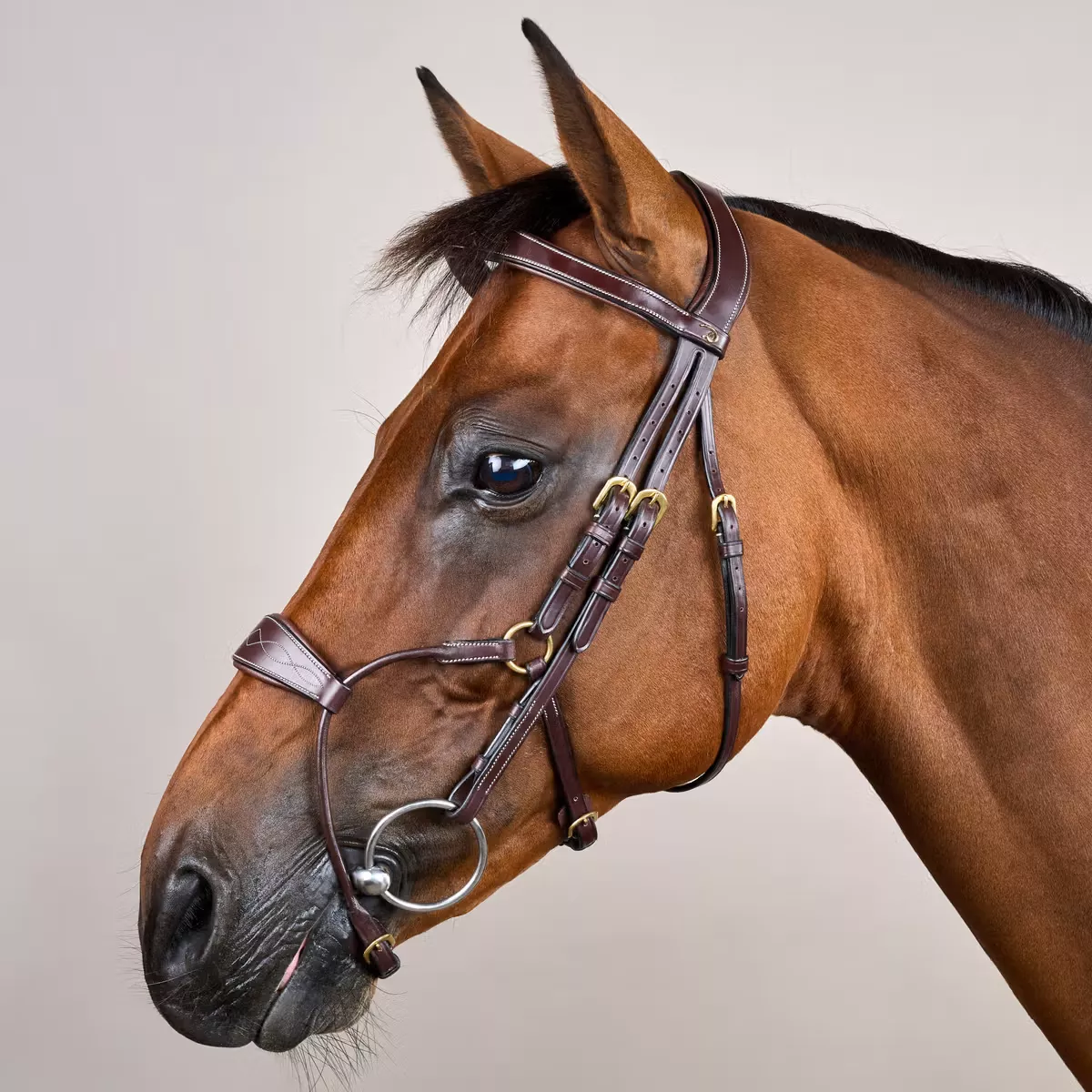 Hybrid Noseband Bridle DY
