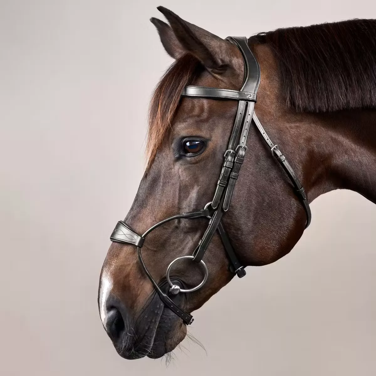 Hybrid Noseband Bridle NE