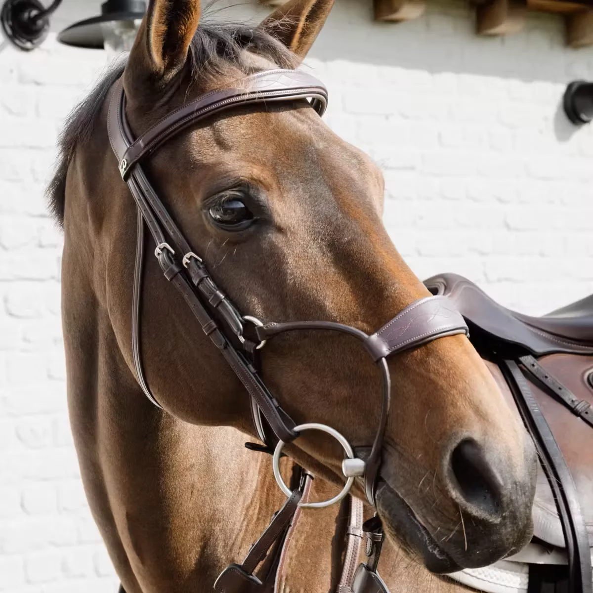 Hybrid Noseband