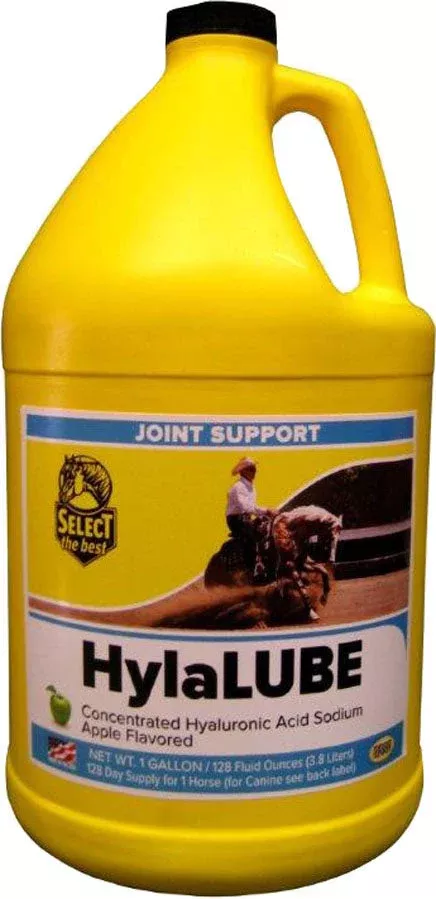 Hylalube Concentrate Apple 1 gal