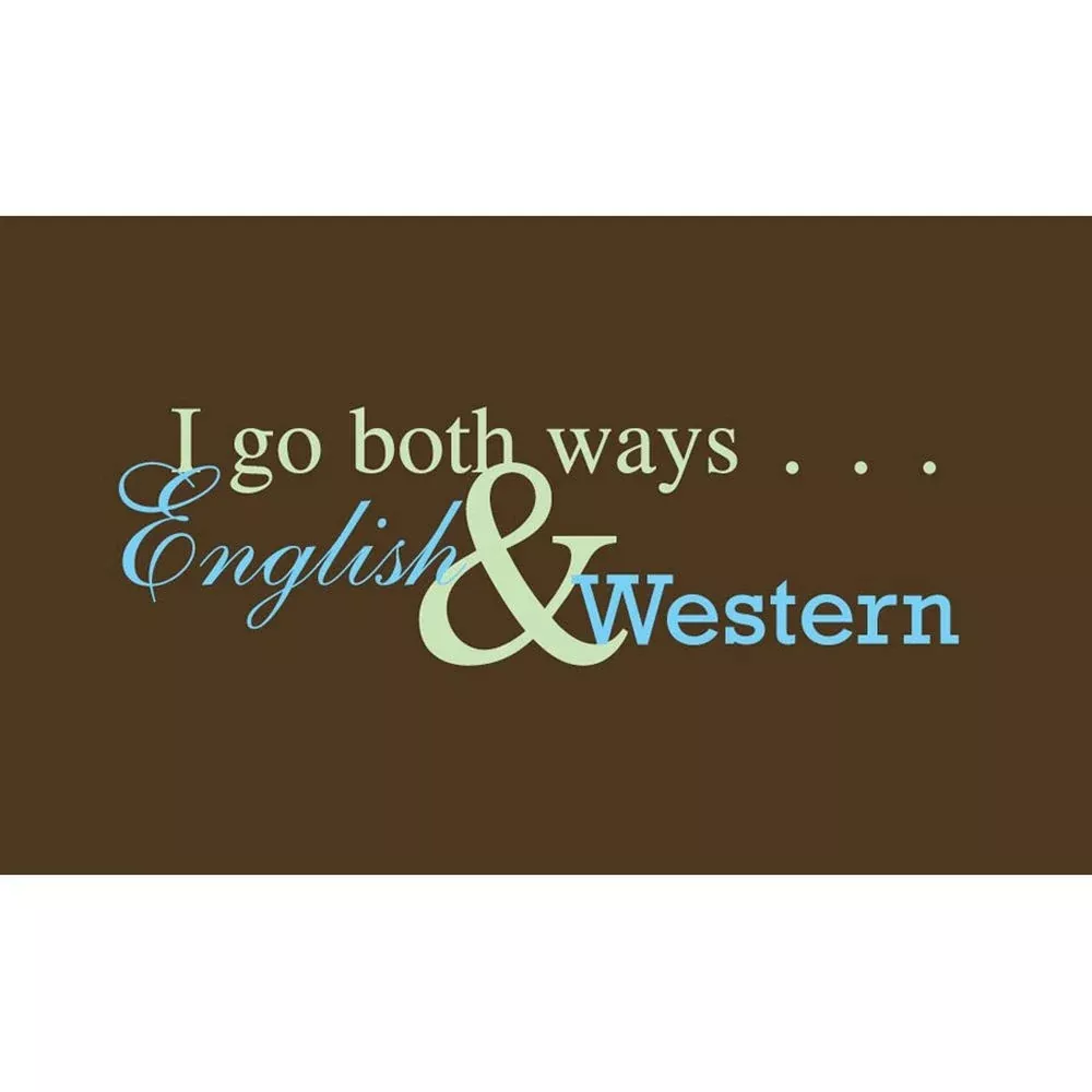 I Go Both Ways Tee Shirt