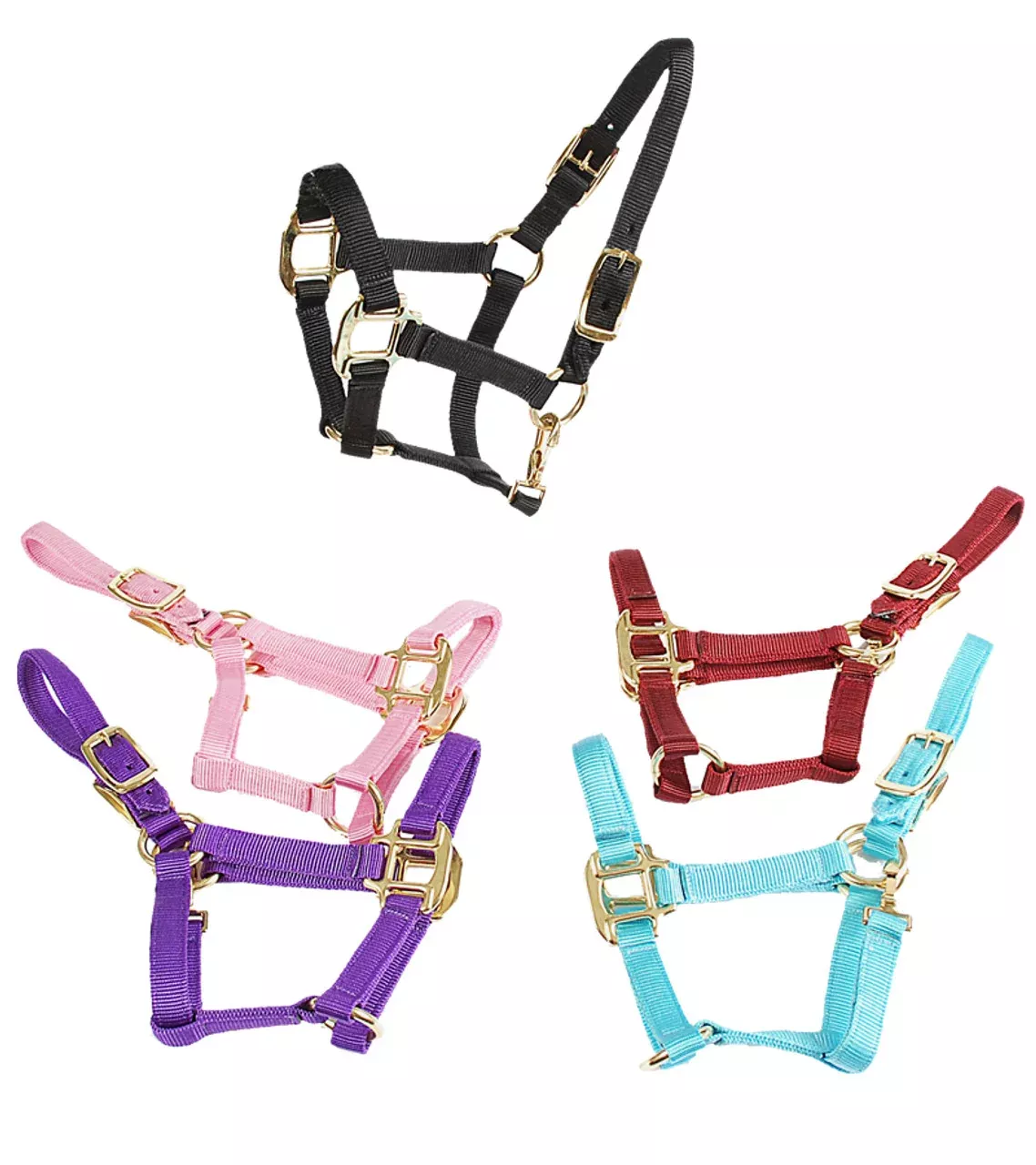 Jack's Deluxe Mini Halter