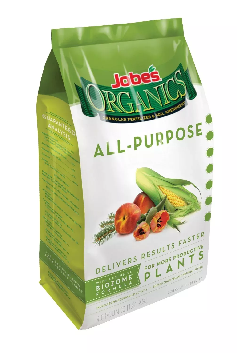 Jobe's All-Purpose Plant Food, 4 lb