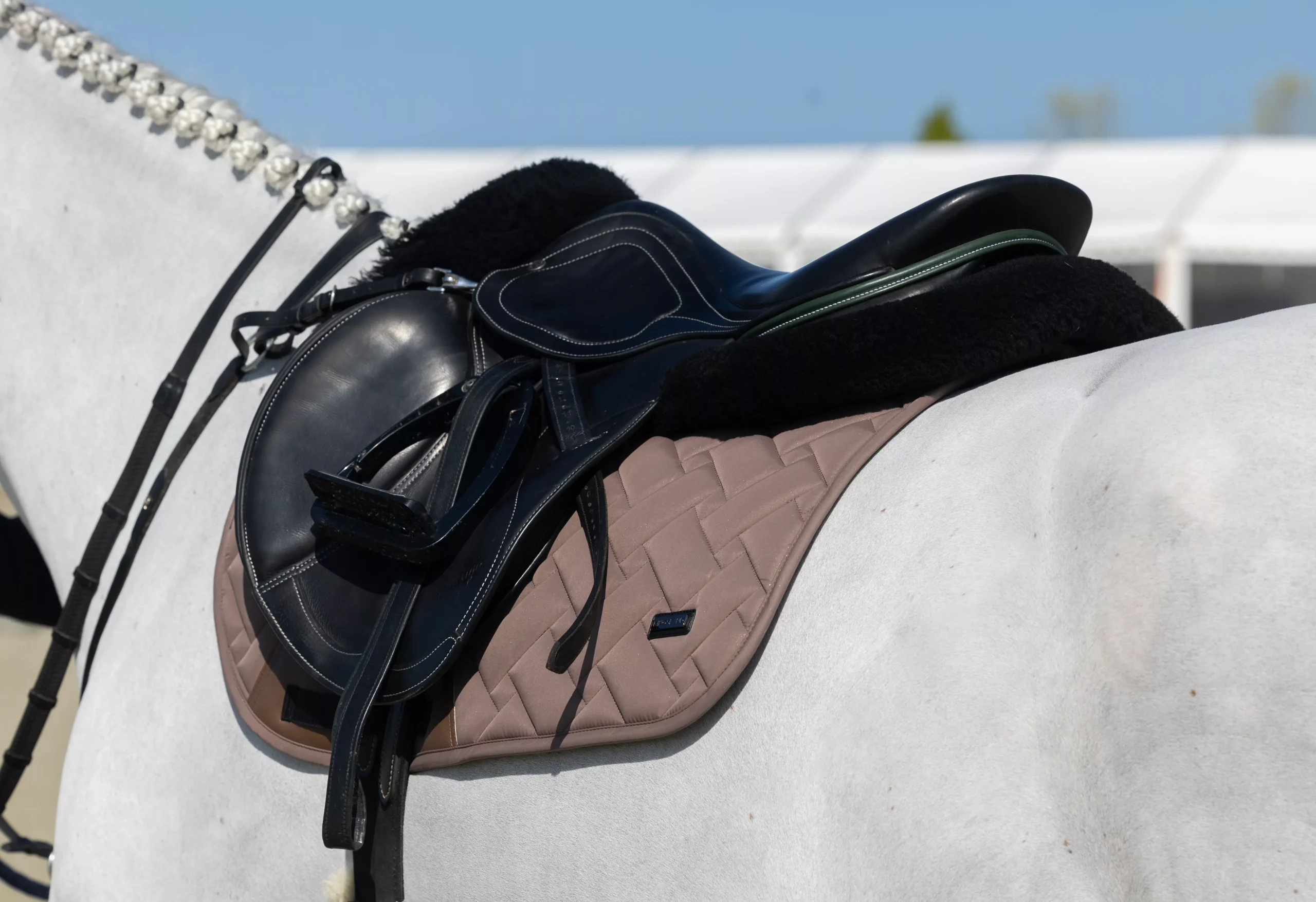 Jumping Saddle Pad KLLexie