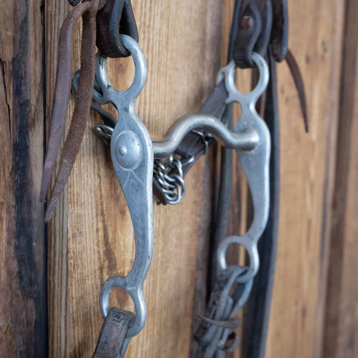 Kelly Solid Port Bridle Rig w/Split Ear Headstall