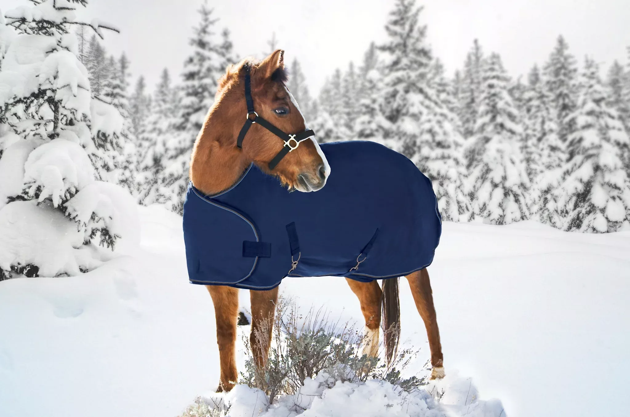 Kensington 1200D Adj Weanling Turnout Blanket – 180g