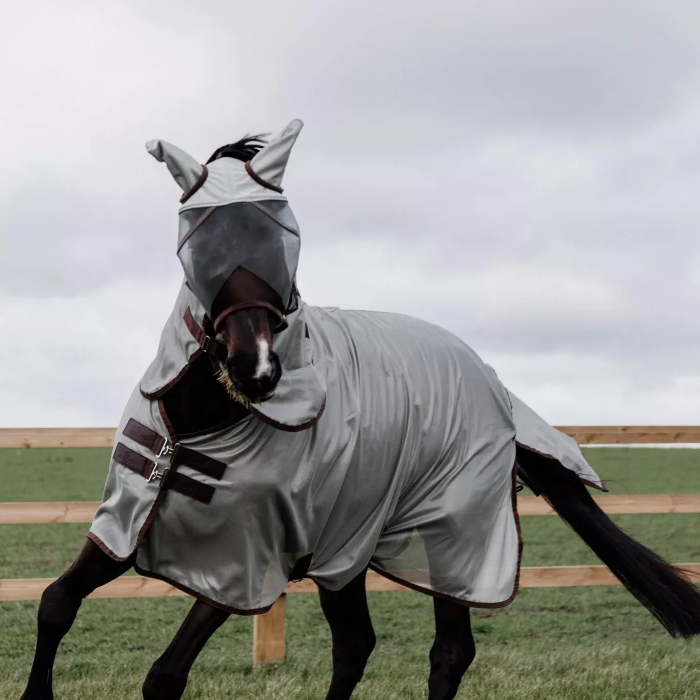 Kentucky Horsewear Classic Fly Set