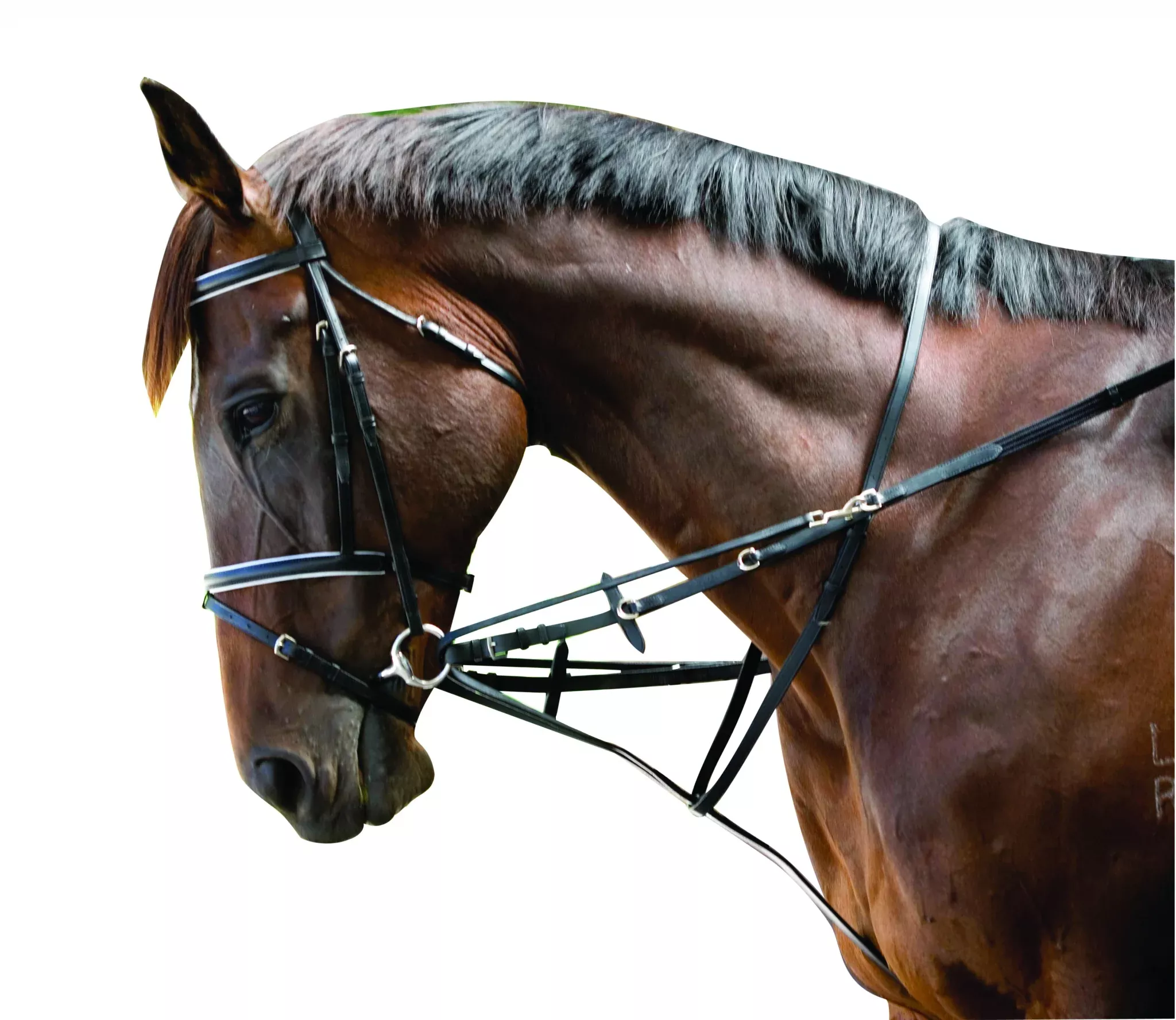 Kincade Web German Martingale