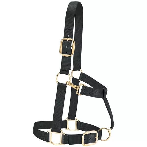 Large Weaver 1-1/2" Nylon Draft Horse Halter W/ Brass Hardware Black