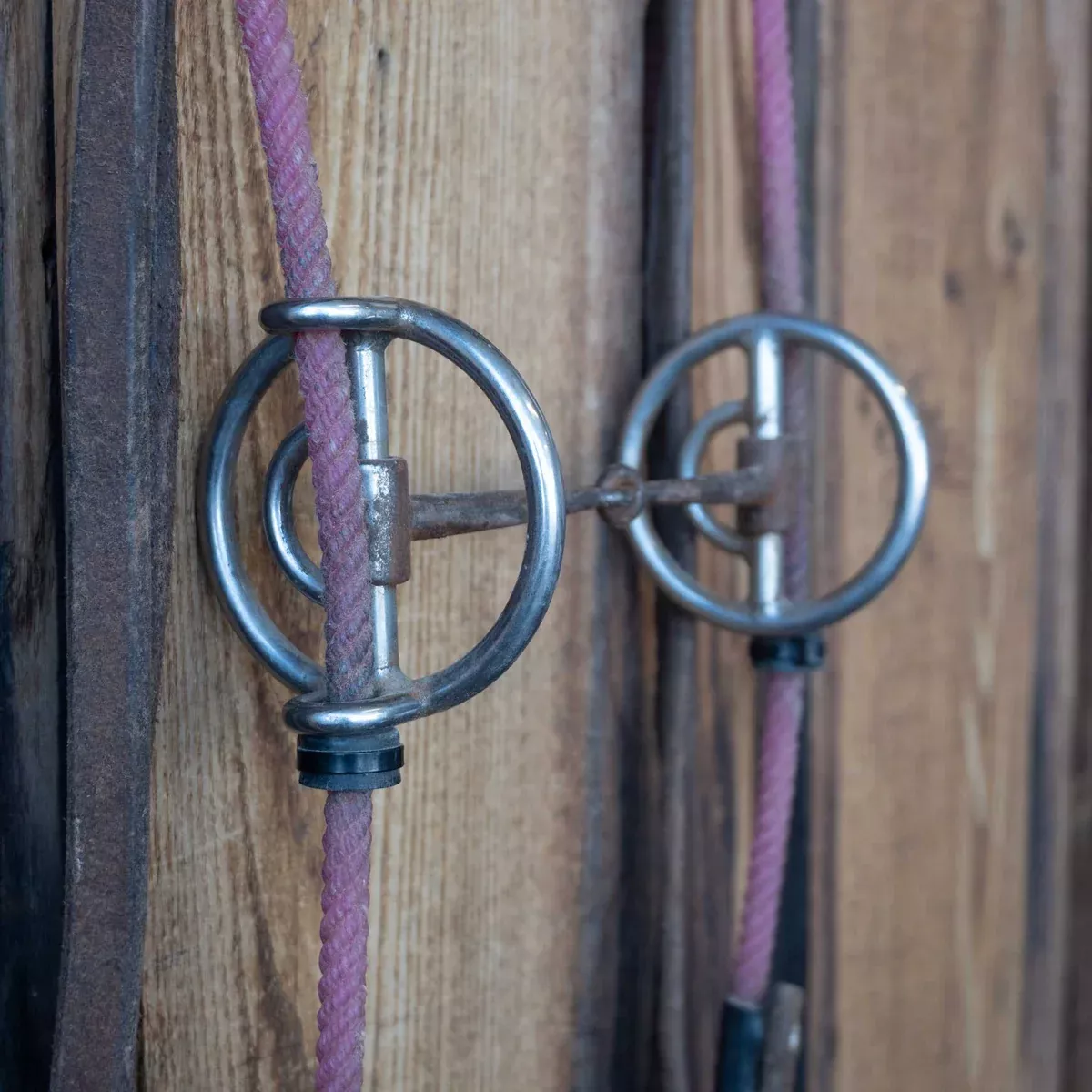 Lariat Draw Gag Snaffle Bridle Rig w/Split Reins