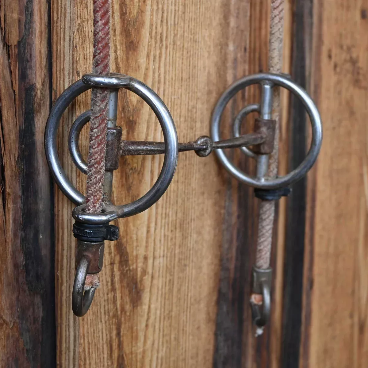 Lariat Draw Gag Snaffle Bridle Rig
