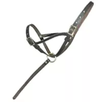 Leather Foal Slip with Grab Strap