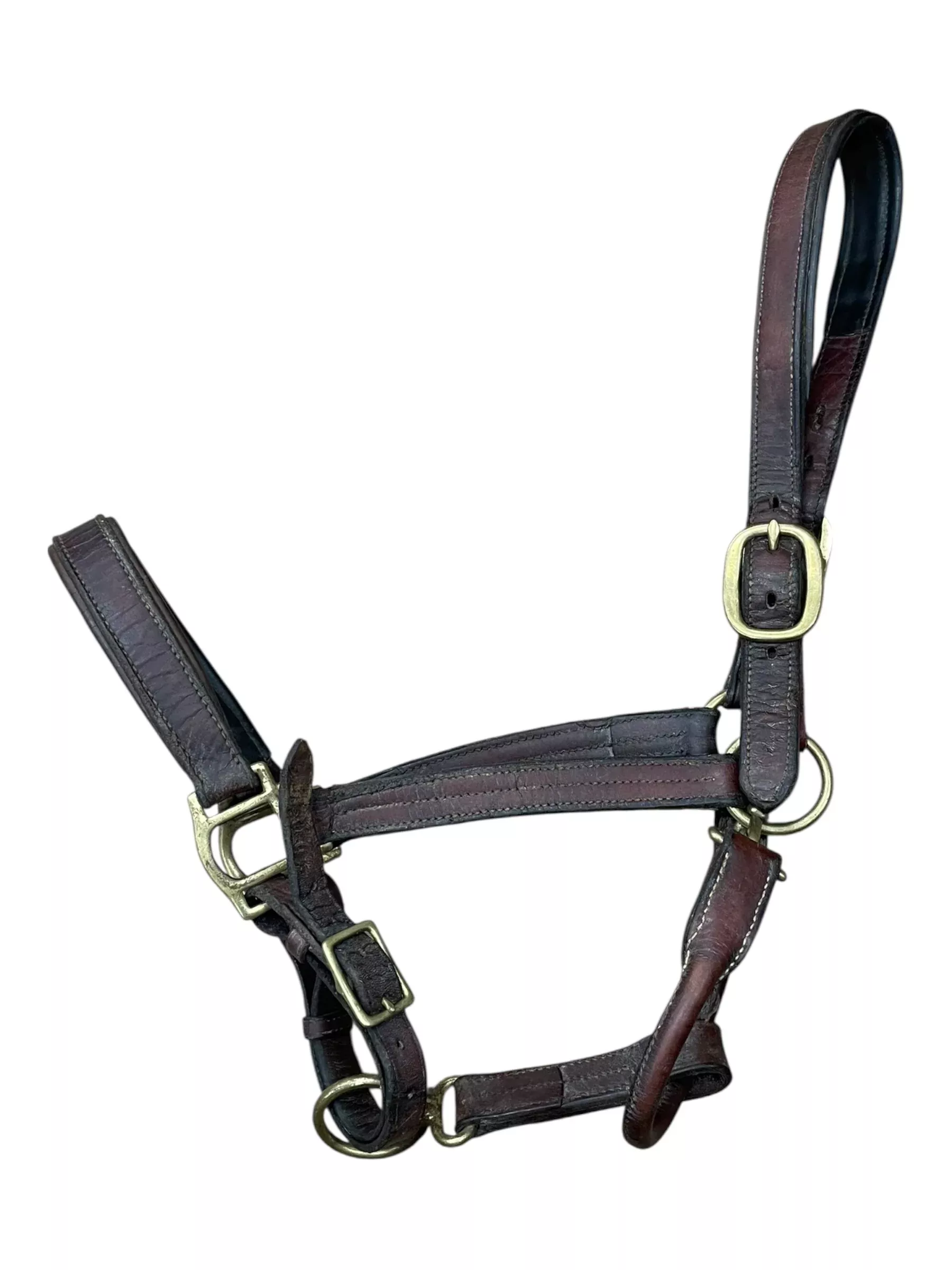 Leather Halter - Brown - F/S - USED