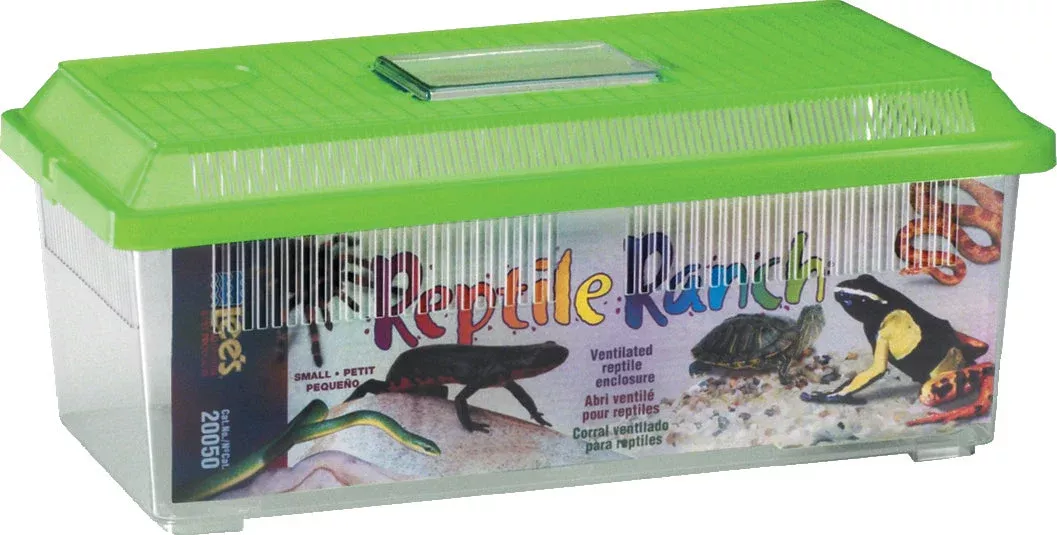 Lee's Reptile Ranch Rectangle, Small