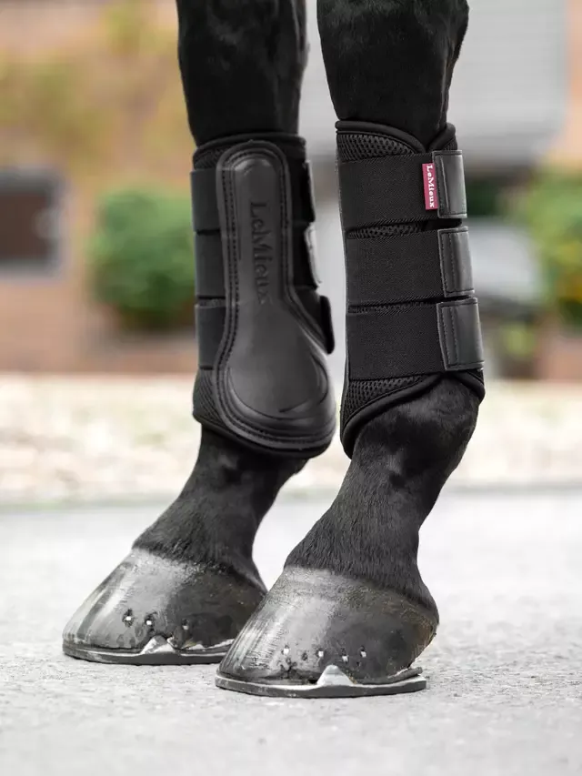 Lemieux Mesh Brushing Boot