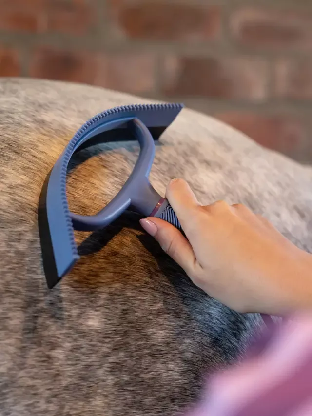 Lemieux Sweat Scraper