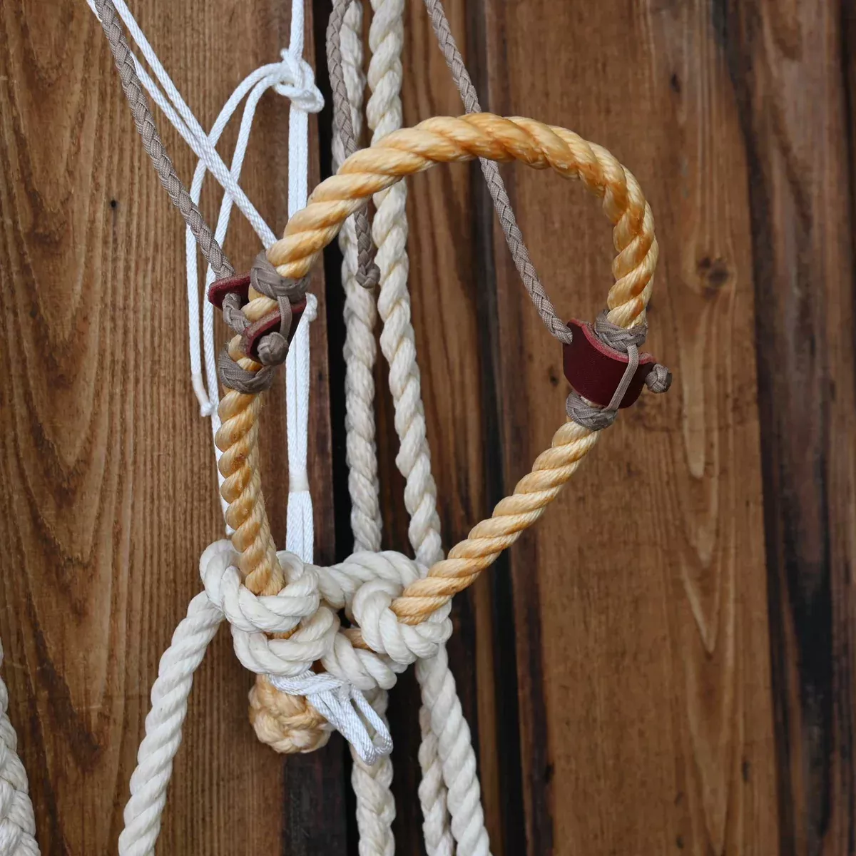 Levi Jones Loping Hackamore w/Browband