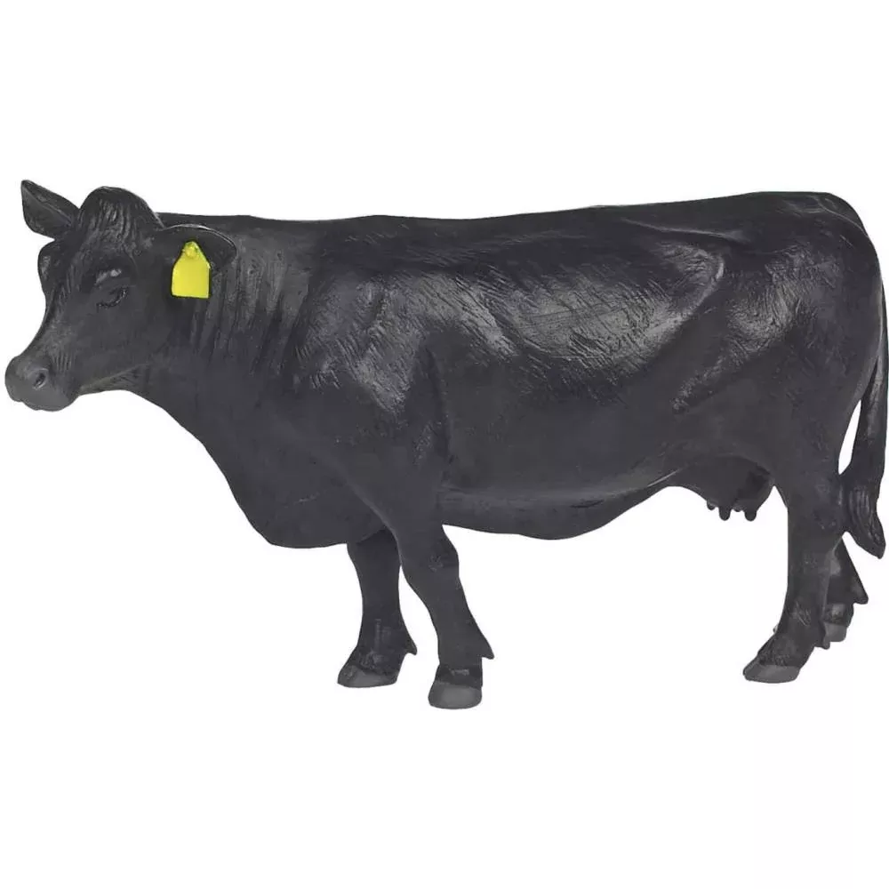 Little Buster Angus Cow