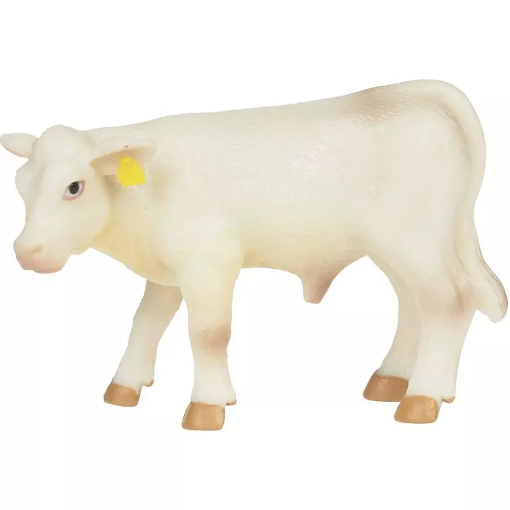 Little Buster Charolais Calf