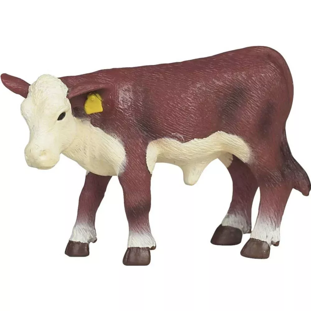 Little Buster Hereford Calf