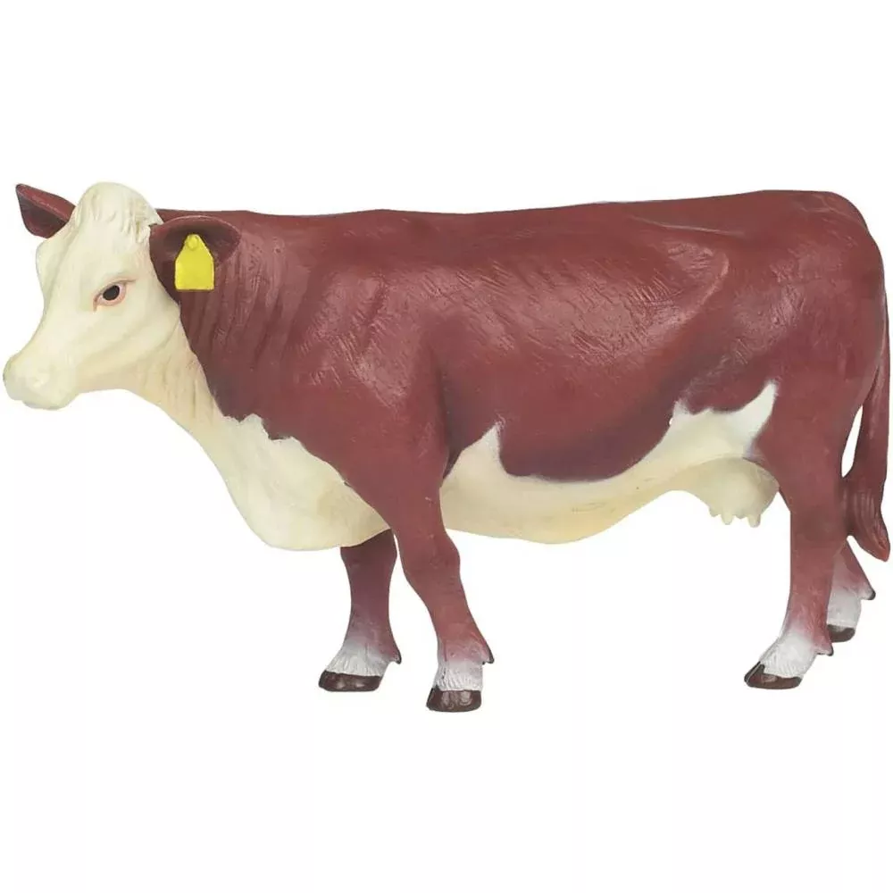 Little Buster Hereford Cow