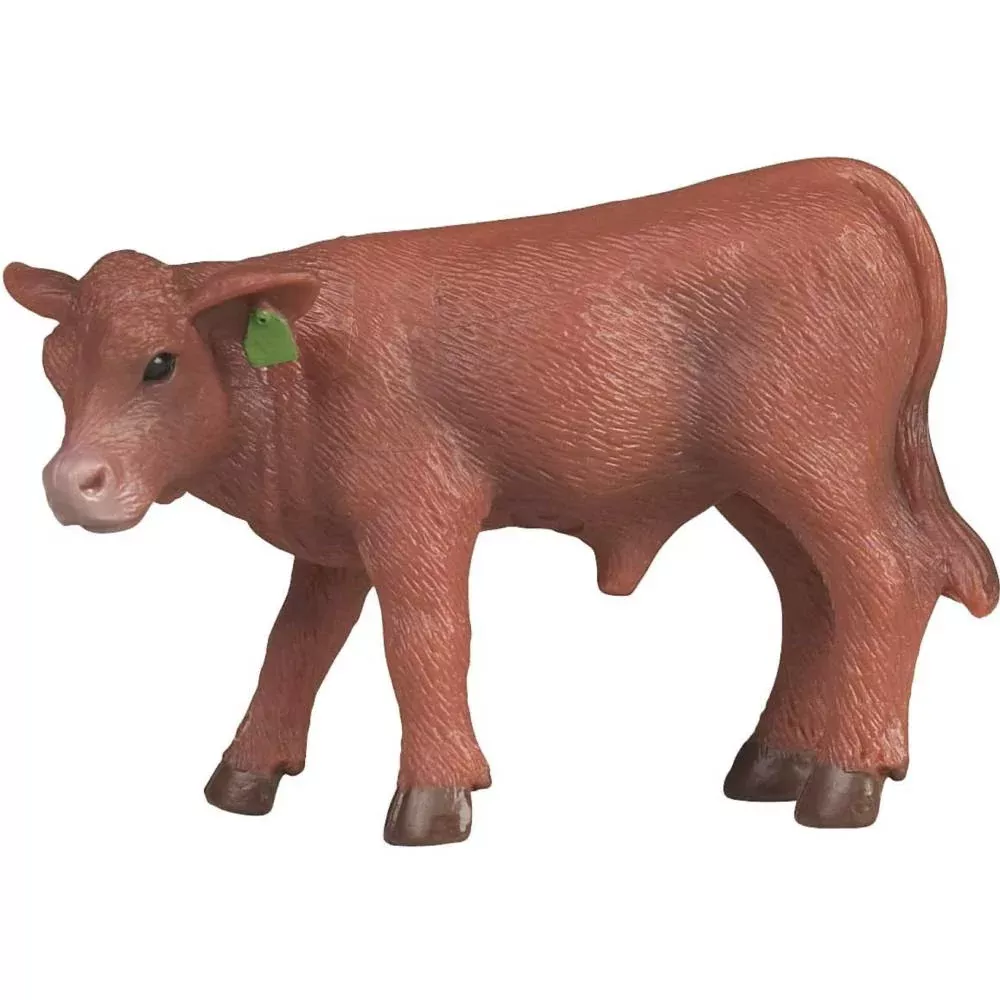 Little Buster Red Angus Calf