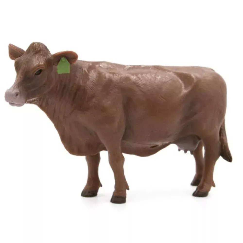 Little Buster Red Angus Cow