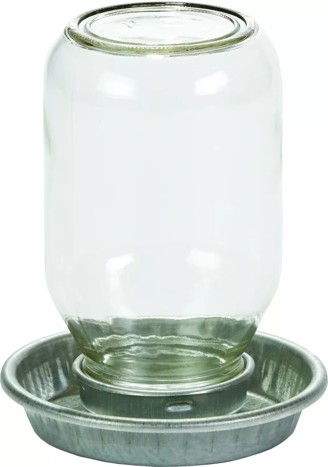 Little Giant Mason Jar Baby Chick Waterer