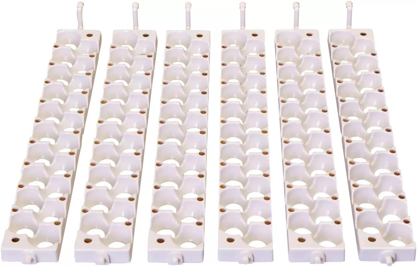 Little Giant Quail Egg Rails, 120 Small Eggs, White