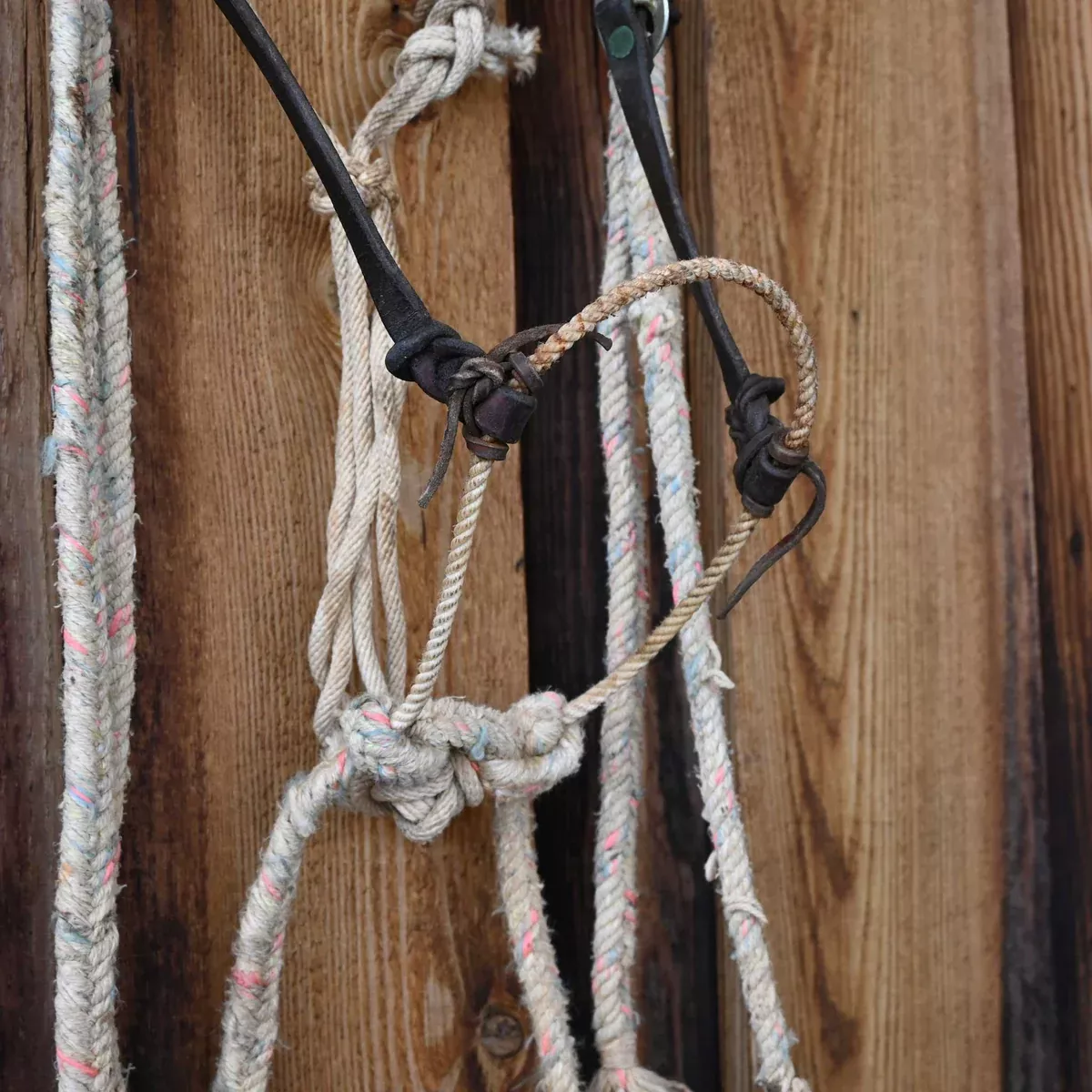 Loping Hackamore Rig