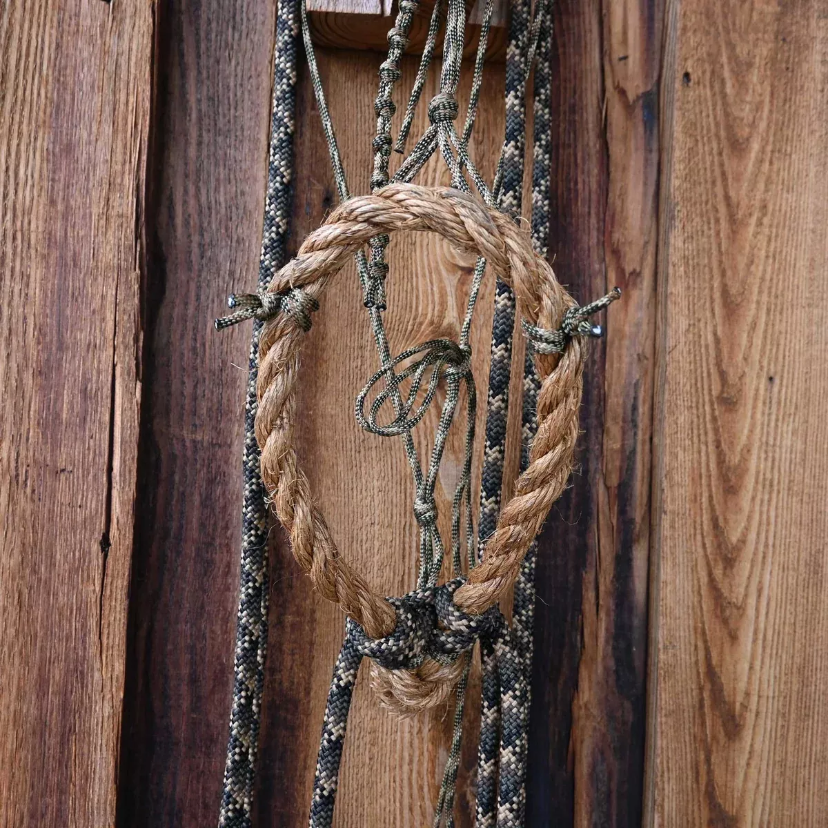 Loping Hackamore w/Crowsfoot Headstall